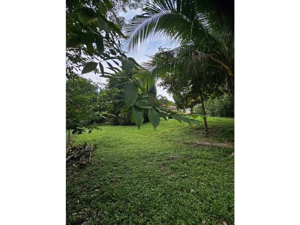 Venta de terreno con casa en Cantarrana, Chitré - 1
