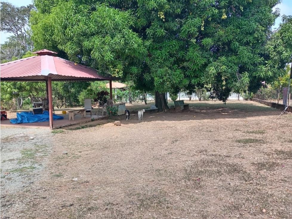 Se Vende Terreno de 4836mt2 Las Margaritas de Chepo (H) - 1