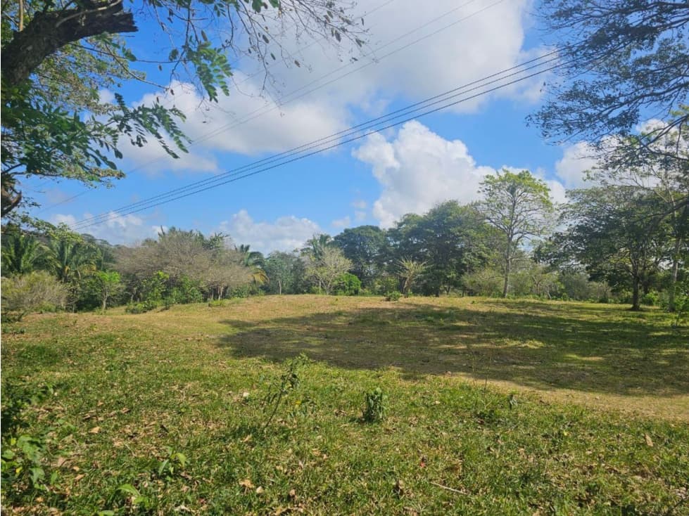 Se vende finca de 3.3 hectáreas en Llanito Verde, La Chorrera - 1