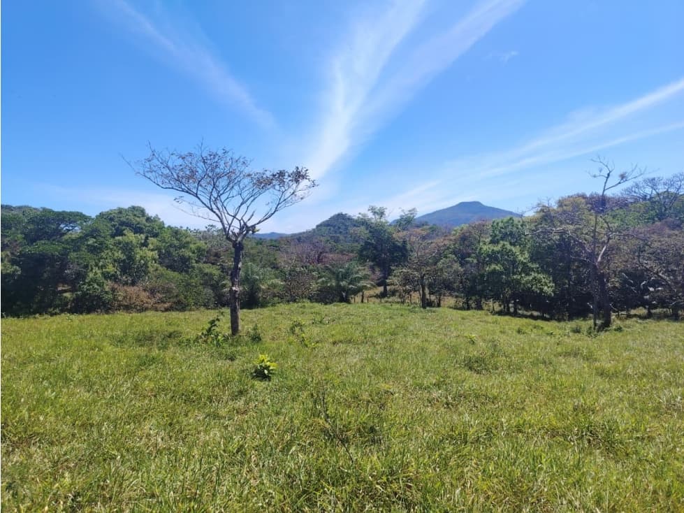 Finca en Venta de 201 Has en Las Palmas - Veraguas (DR) - 1