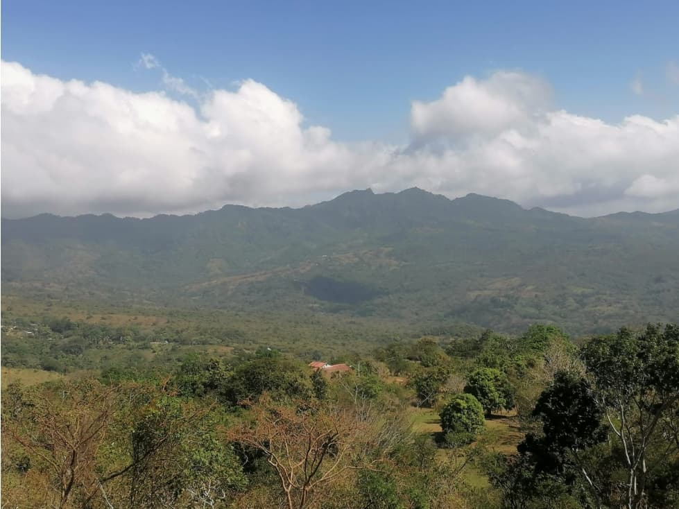 Se Vende Finca de 10 Has. en Sorá de Chame (H) - 1
