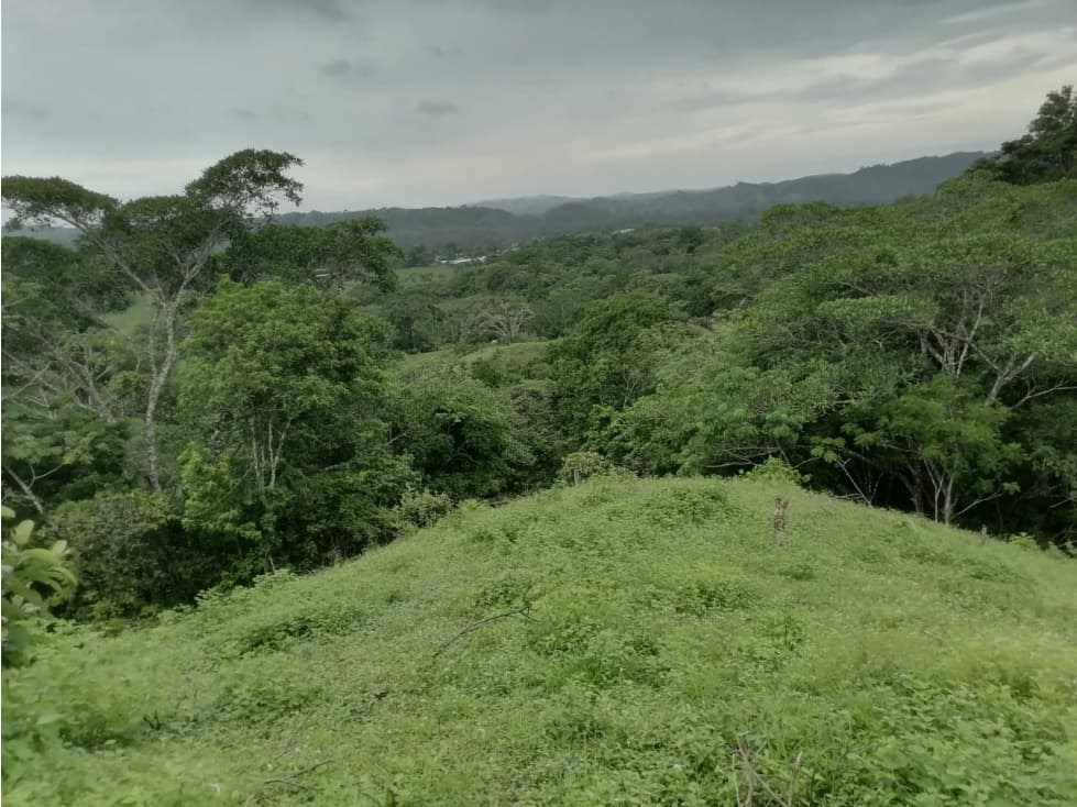 Terreno en venta 50 Has-Cañita de Chepo (BO) - 1