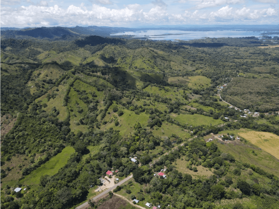 Se Vende Finca de 253 Ha. en Chepo (H) - 1