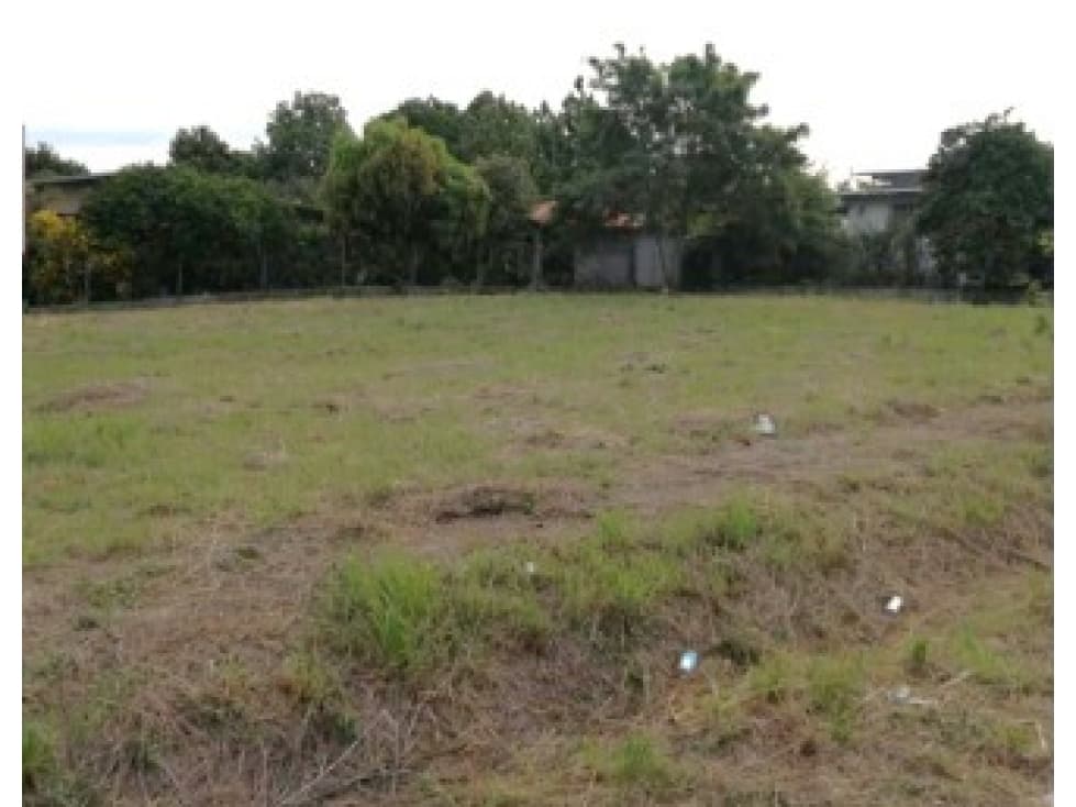 Lote 95 en Penonomè (CP) - 1