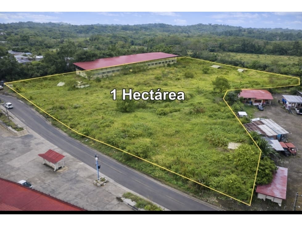 Chepo, terreno 1 hectária a solo $2.5M - 1
