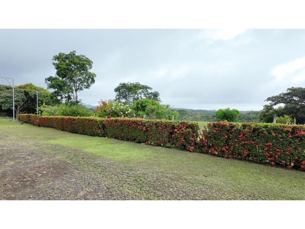 Venta de terreno en el Copecito San Carlos - 1