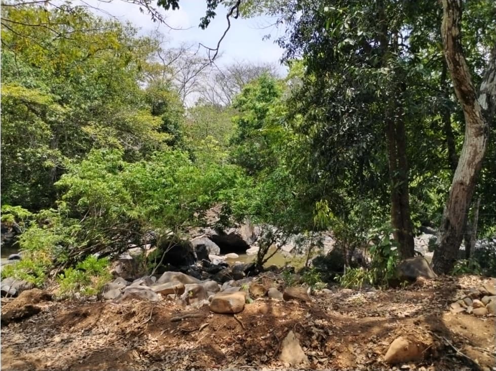 Se vende 32 hectáreas en Calobre, Veraguas, Panamá - 1