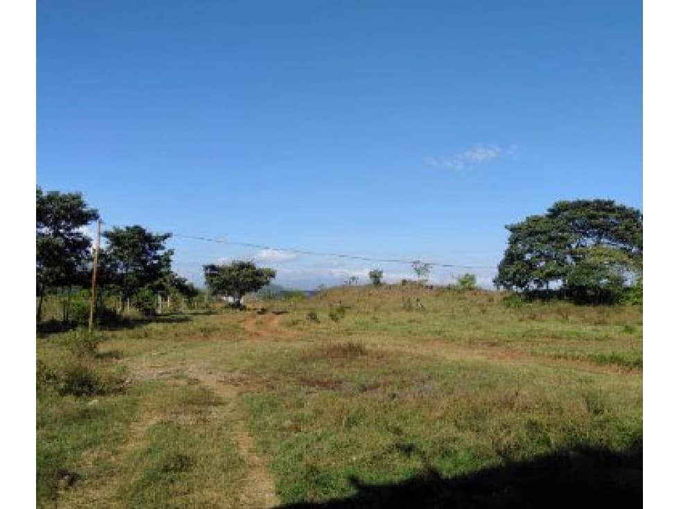 Se vende Finca ganadera de 152 has en La Mesa, Veraguas, Panamá - 1