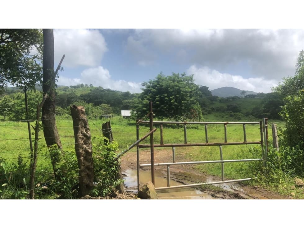 Venta de Espectacular Finca de 25 Hectáreas en Tanara! Panamá - 1