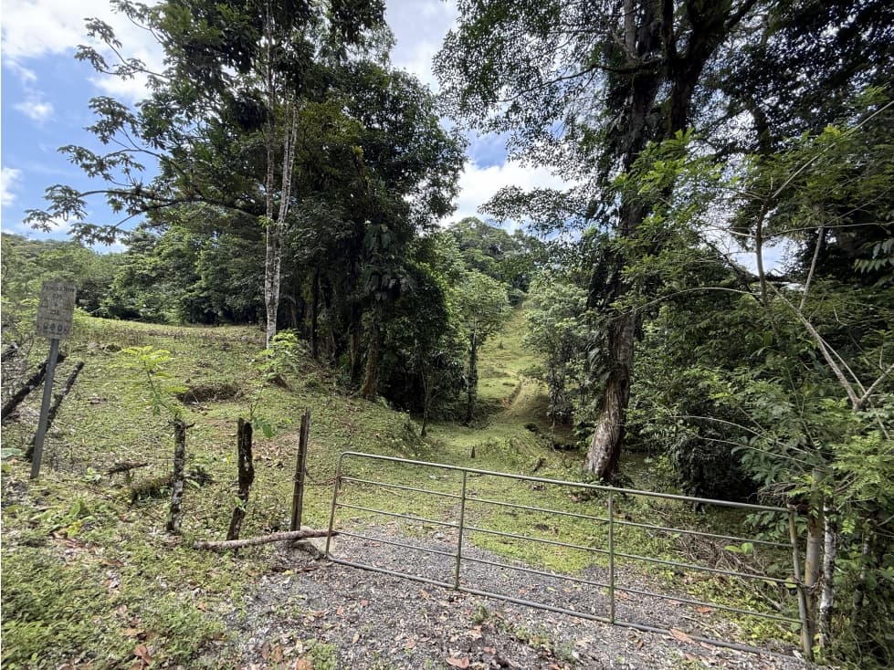 Se Vende Finca en Coclesito, La Pintada, Penonomé MLS23482 - 1