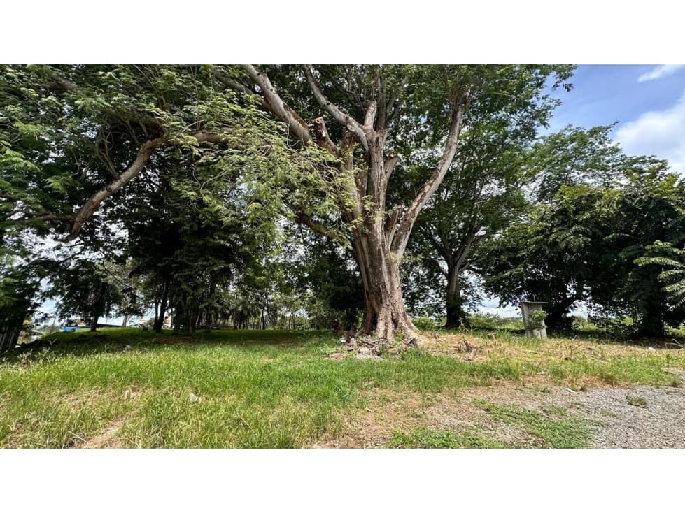 Se vende terreno en David, Chiriquí - 1