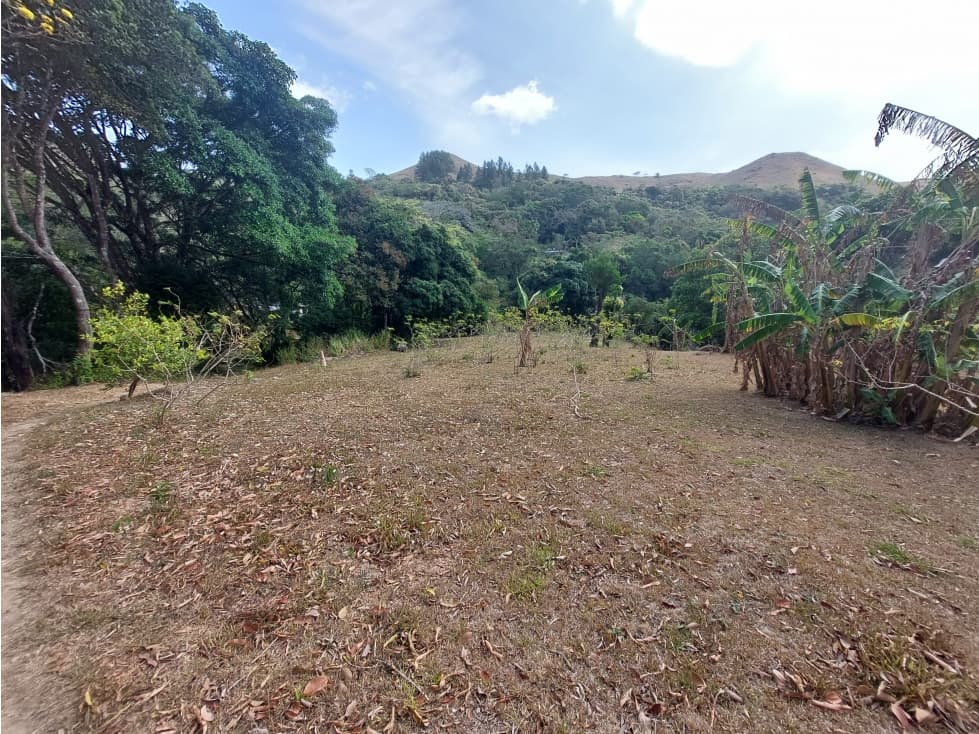 Se vende terreno a 5 minutos del Valle de Antón 9,000 M2 JS - 1