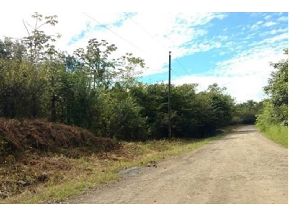 Venta terreno en Calobre - 1