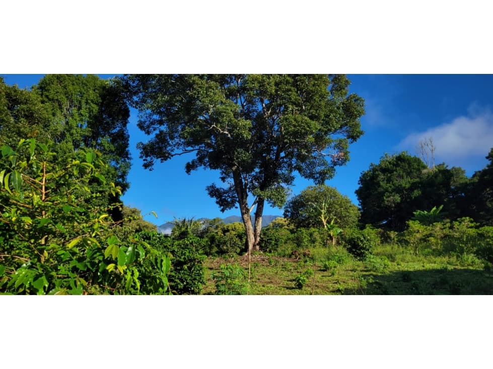 Terreno en Venta en Boquete/Land for Sale in Boquete - 1