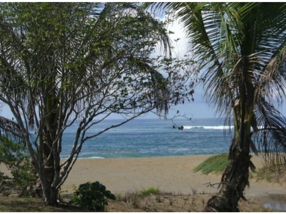 Venta de Terreno en Pedasí - Playa Los Destiladeros - 1