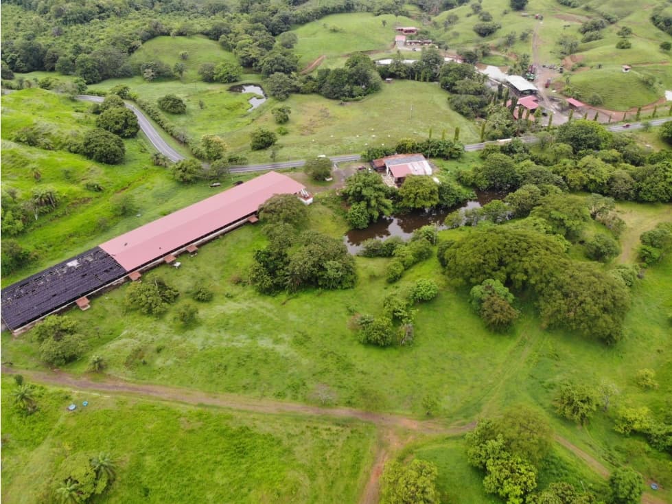 VENTA FINCA EN VERAGUAS PONUGA, LA MARIA - 1