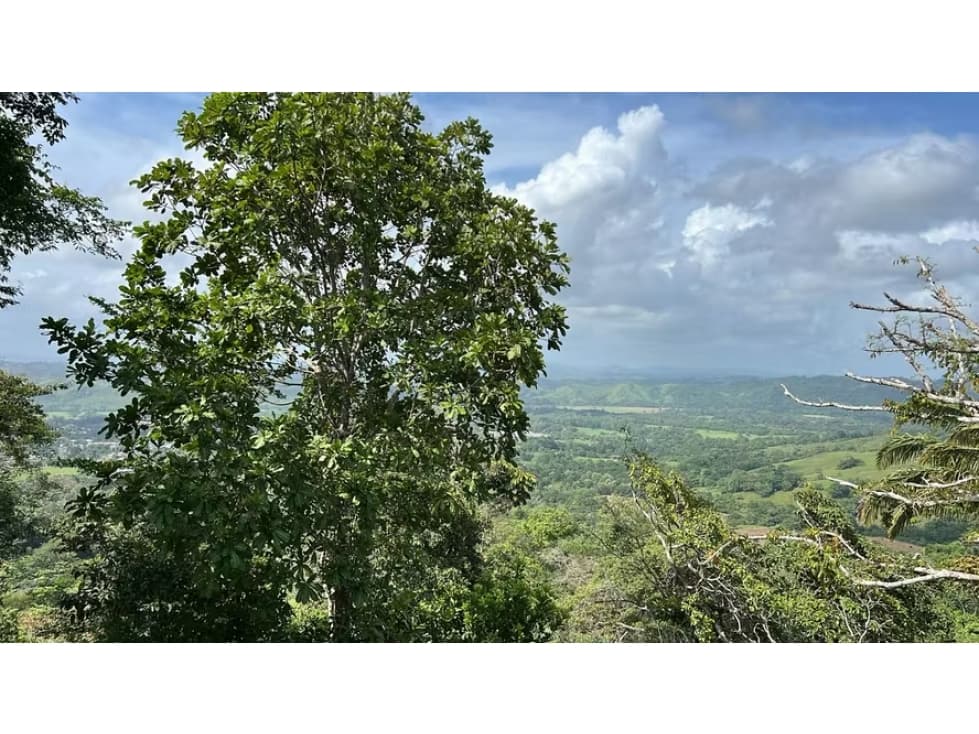 Finca ganadera en venta en Cañita | 14.5 ha tituladas y económicas - 1
