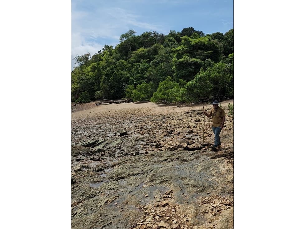 Oportunidad de Desarrollo en Isla Privada Isla Corozal - 1