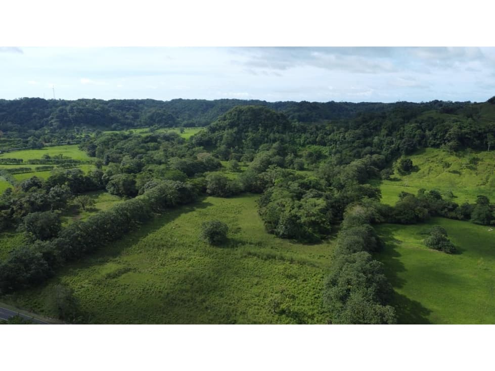 Venta o Alquiler de terreno en Colón, Achiotes - 1