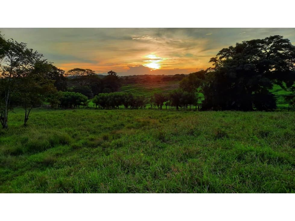 Venta de Lotes en Los Destiladeros, Pedasí - 1