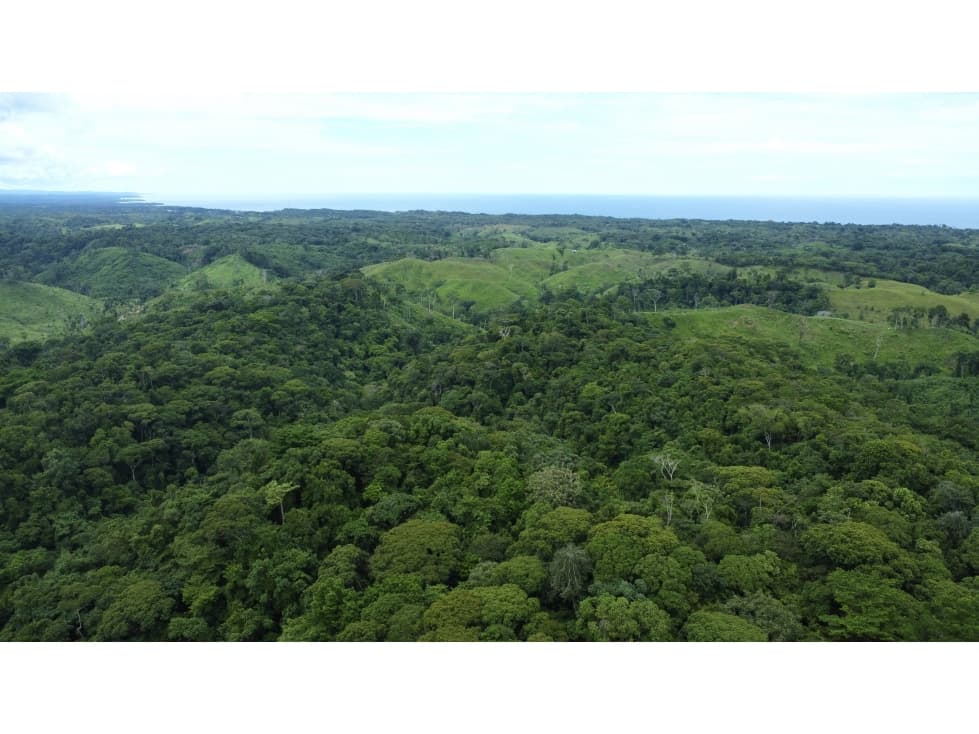 Venta de Terreno en Tonosí - 1