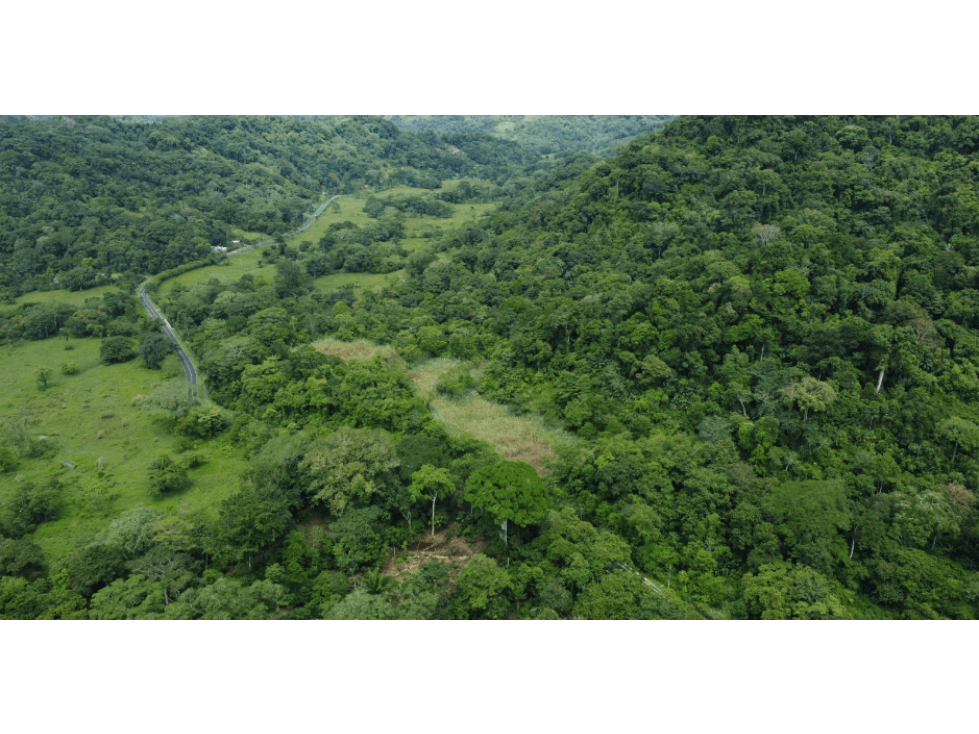 Venta de Terreno en Tonosi, Los Santos - 1