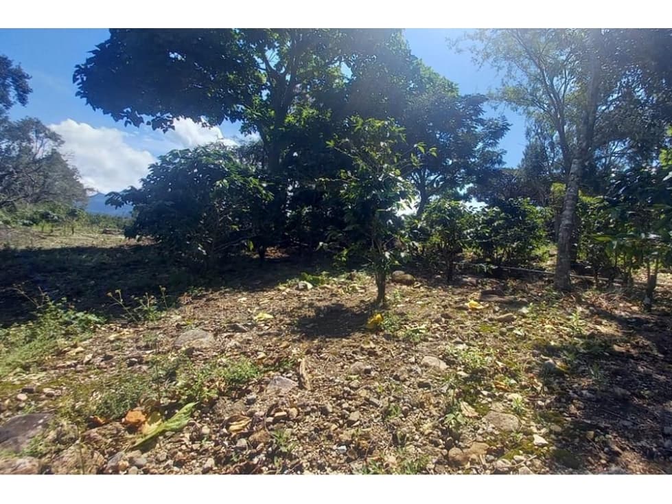 Se vende finca cafetera en Alto Boquete, Chiriquí - 1