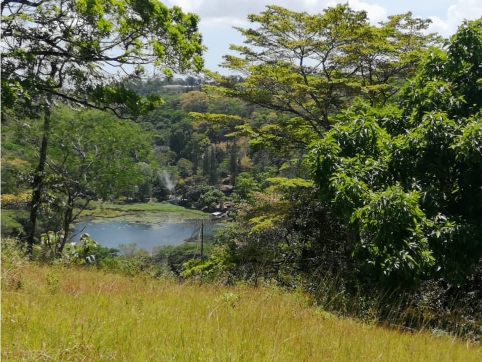 Se vende terreno en Cerro Azul MMM - 1