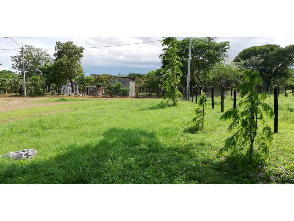 Se vende finca en Coclé, Natá - 1