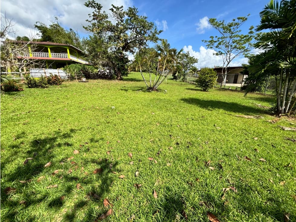 SE VENDE AMPLIO TERRENO CON CABAÑA EN LOS NANCES PRADERA DE UTIVE - 1