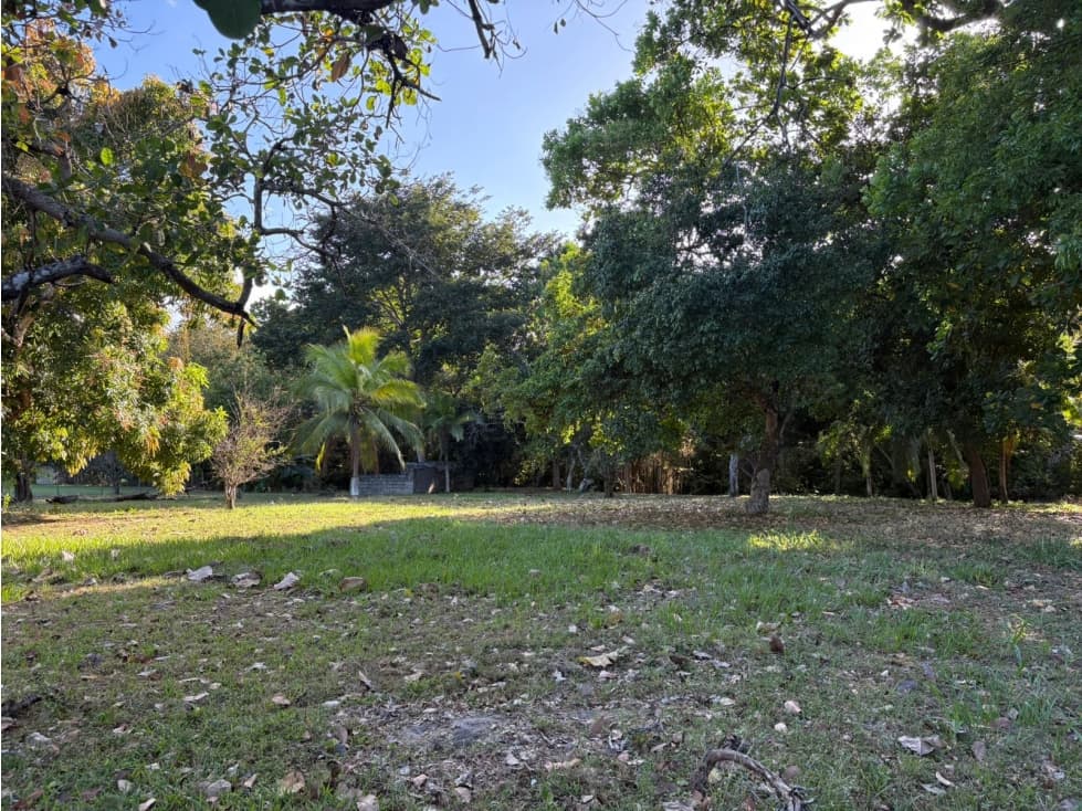 COCLE / SANTA CLARA / TERRENO / 5000 M / SOBRE LA VIA / CERCADO / AG - 1