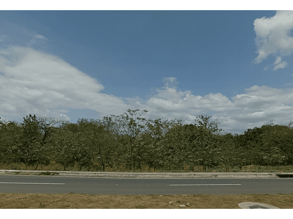 SE VENDE TERRENO COMERCIAL EN LA MESA DE VERAGUAS VIA INTERAMERICANA - 1