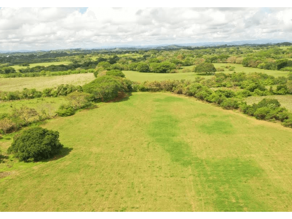 SE VENDE FINCA TITULADA IDEAL PARA GANADERÍA EN PARITA DE HERRERA - 1