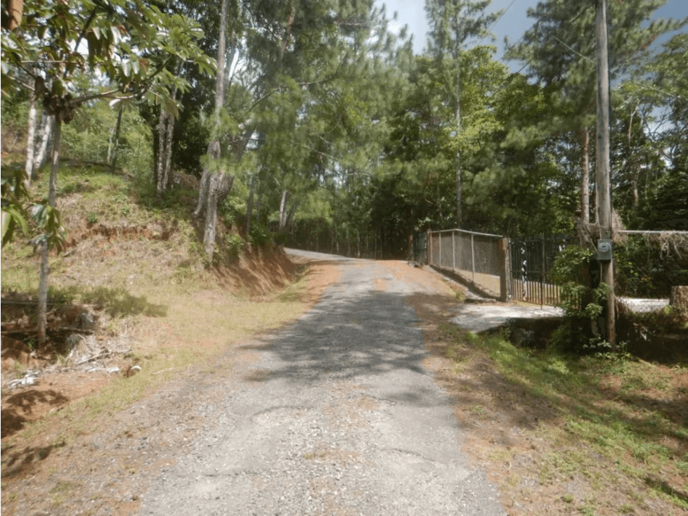 TERRENO / ALTOS DE CERRO AZUL / 2363M / CON PAISAJISMO / CLIMA FRIO - 1