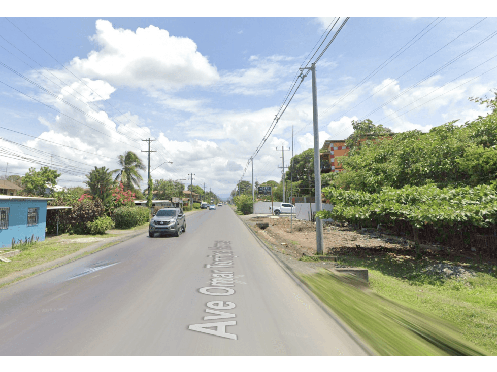 TERRENO / BOCAS DEL TORO / CHANGUINOLA / 2442M / AVENIDA PRINCIPAL - 1