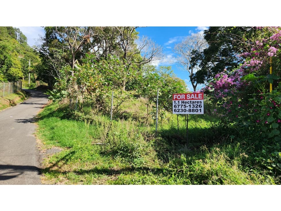 Exclusivo Terreno de Desarrollo en el Corazón de Boquete - 1