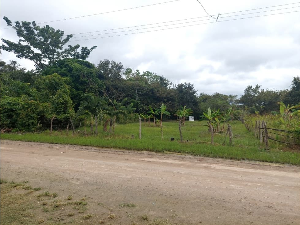 VENTA TERRENO PENONOME - 1
