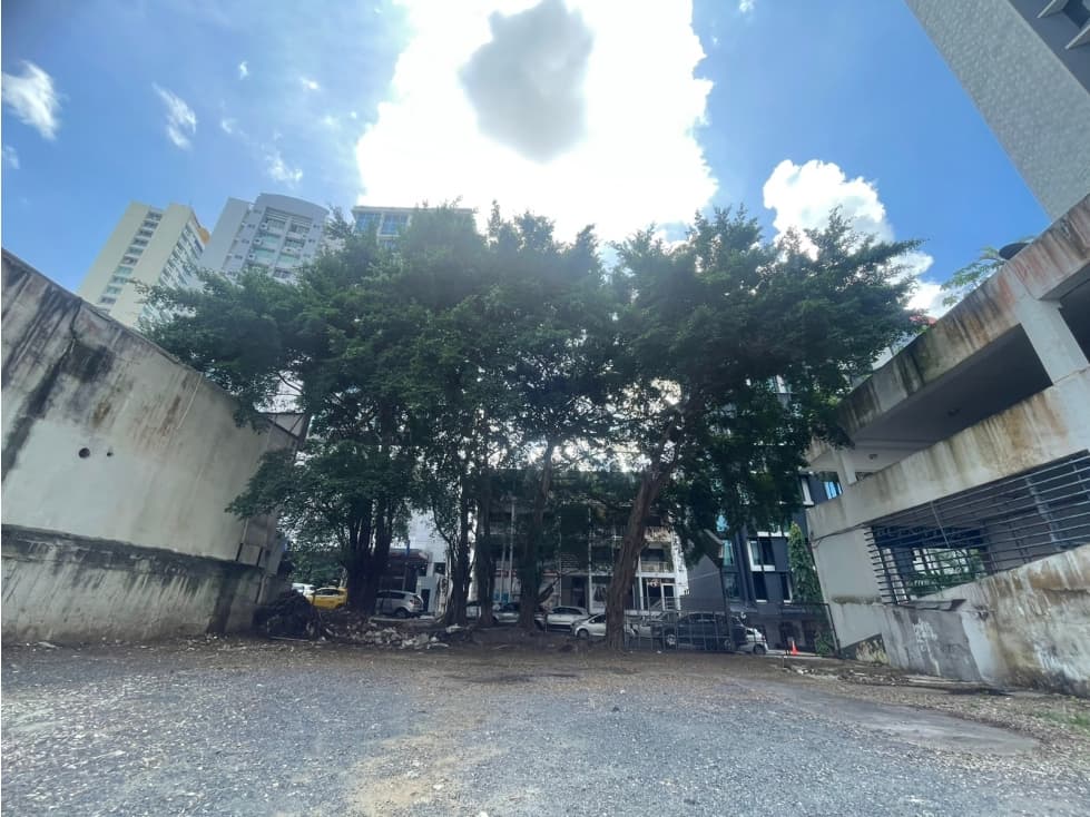 Se Vende Terreno en Bella Vista 670 Mtrs - 1