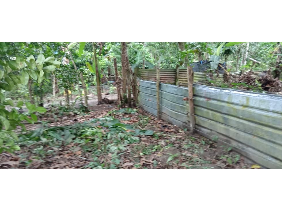Venta de Terreno en Baru - 1