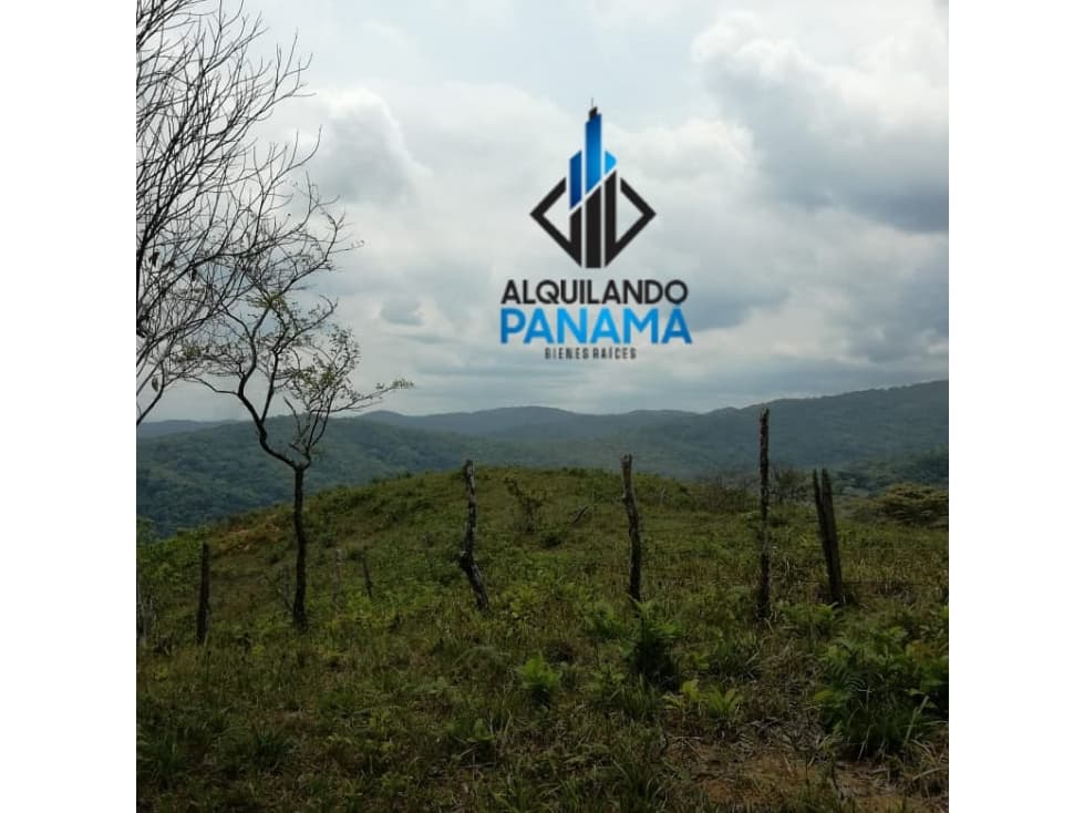 Se Vende Terreno 11 Has. en Cerro Azul USD$324,500,oo - 1