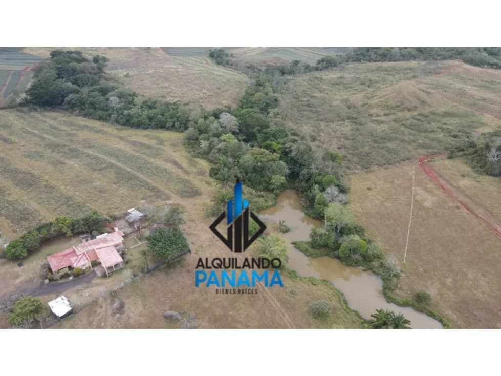 Se Vende Finca Agropecuaria 35 Ha USD807,500,/La Chorrera Herrera - 1