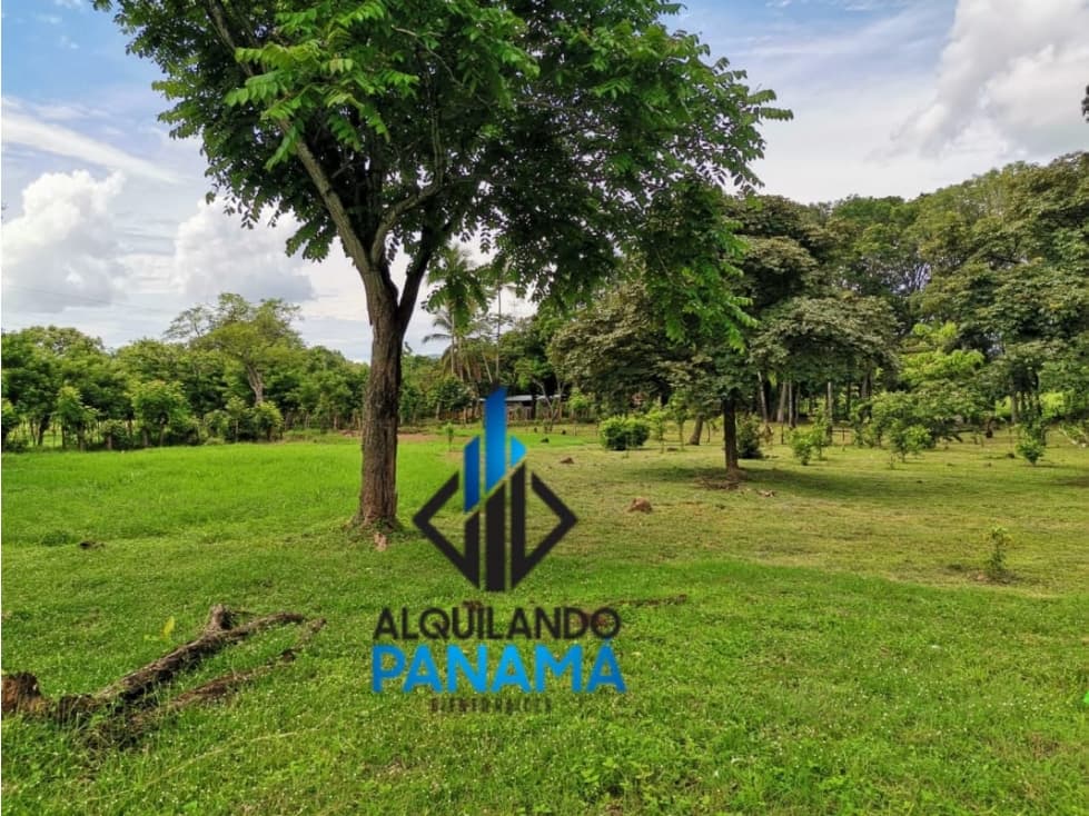 Se Vende Finca Agropecuaria 12.85Ha USD1,285,493Chame - 1