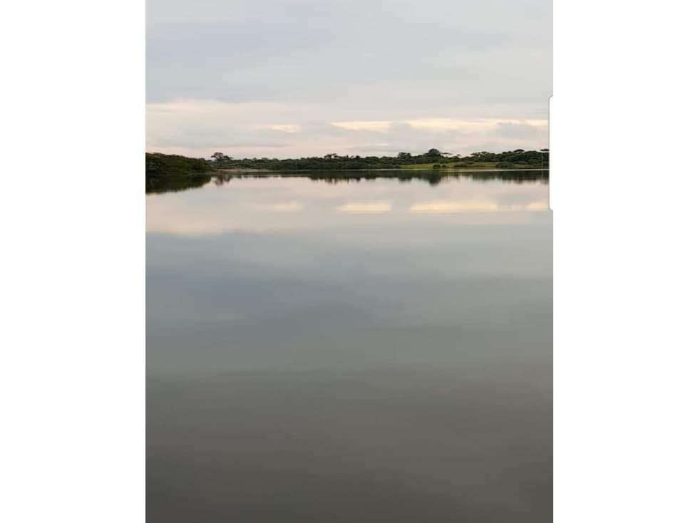 Se Vende Finca Agropecuaria 70 Ha Lago Gatun usd$42,858,oox Ha. - 1