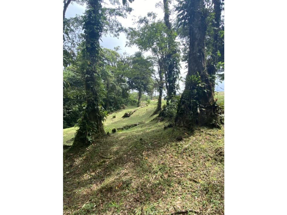 SE VENDE TERRENO EN ALTOS DEL MARIA UBICADO EN LA RIOCA 2237 m2 - 1