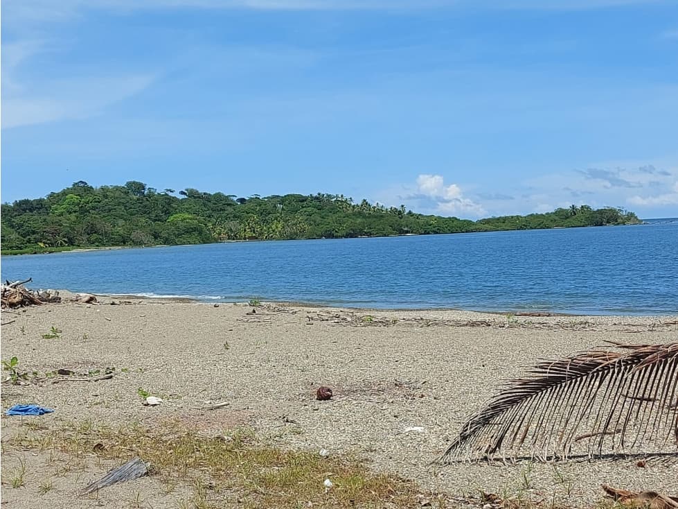 TERRENO DE 7500 HEC FRENTE AL MAR EN COLON - 1