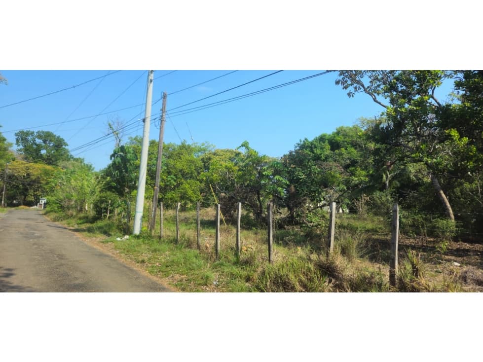 LOTE DE 1100 METROS EN ALGARROBO CHIRIQUI - 1