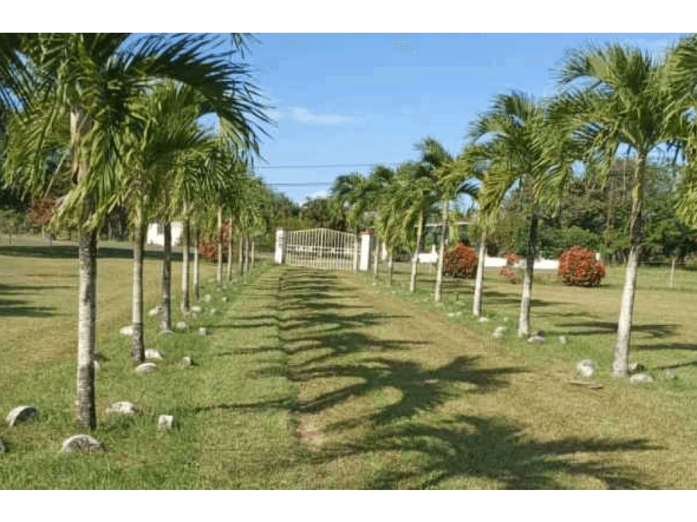 VENTA DE FINCA EN RÍO HATO, ANTÓN ÚNICA OPORTUNIDAD - 1
