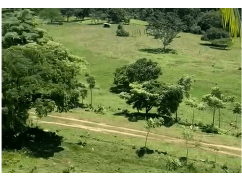 VENTA DE FINCA GANADERA EN COLÓN MARIA CHIQUITA, HERMOSA Y OPERATIVA - 1