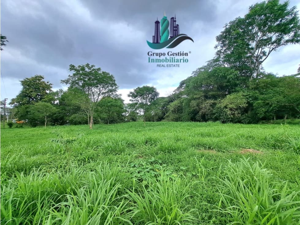 VENTA DE TERRENO DE 9,000 M2 DAVID - 1