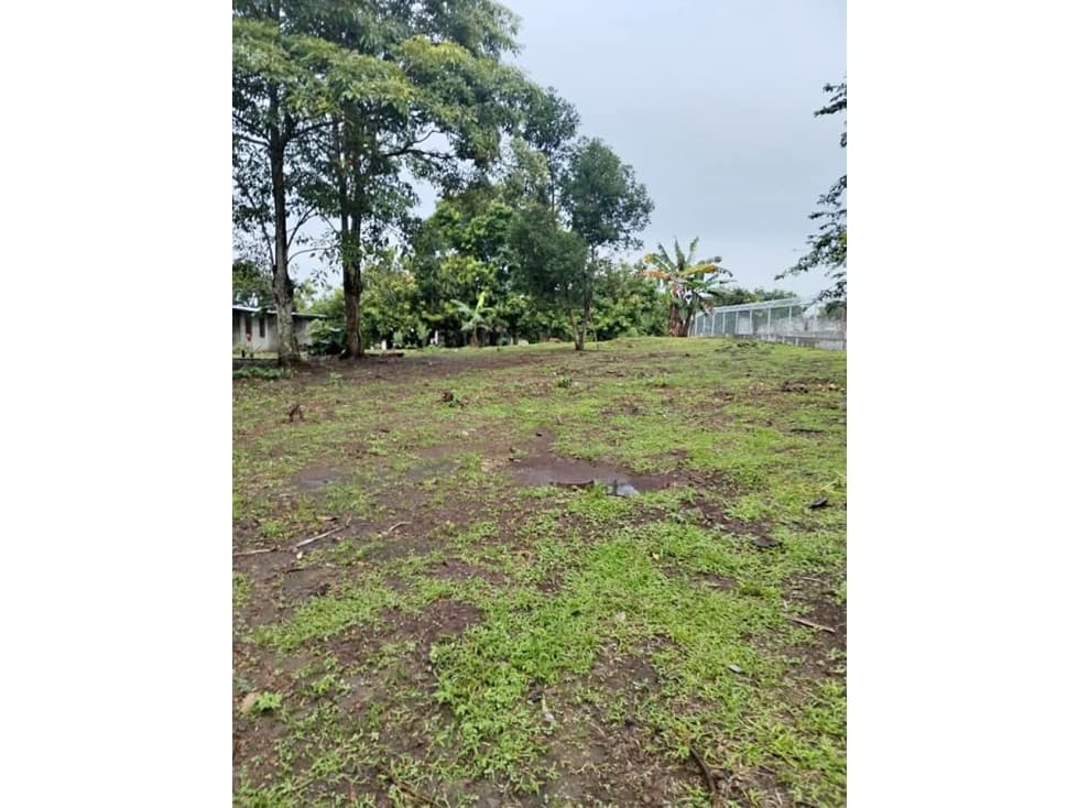 VENTA DE LOTE A SEGREGAR DE FINCA MADRE SANTO DOMINGO - 1